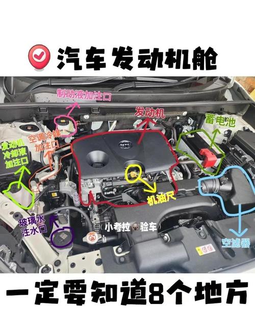 advance auto parts spark plugs