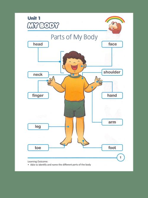 body tienda piezas cerca de mí