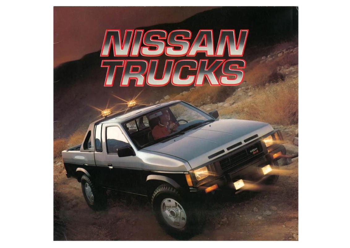 nissan d21 truck Teile
