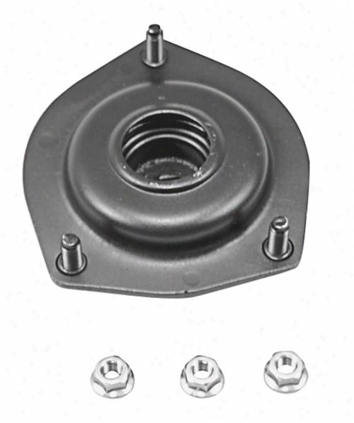 shocks and struts